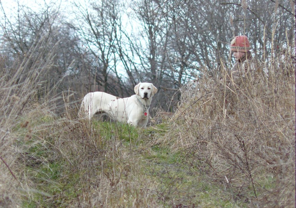 Paseky