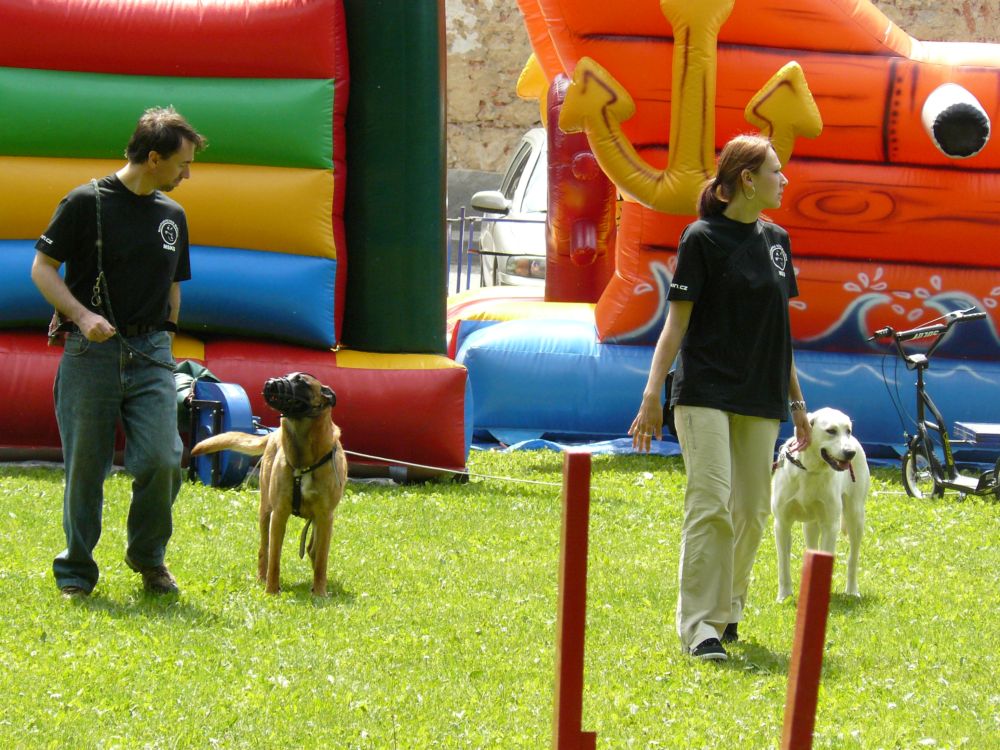 P1050877.JPG