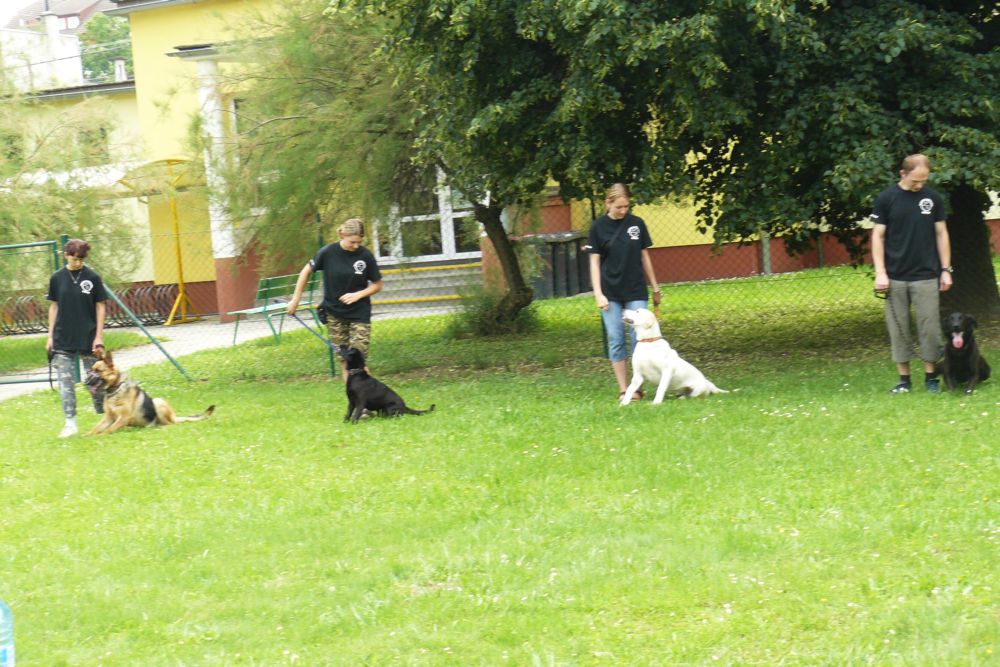 P1060060.JPG