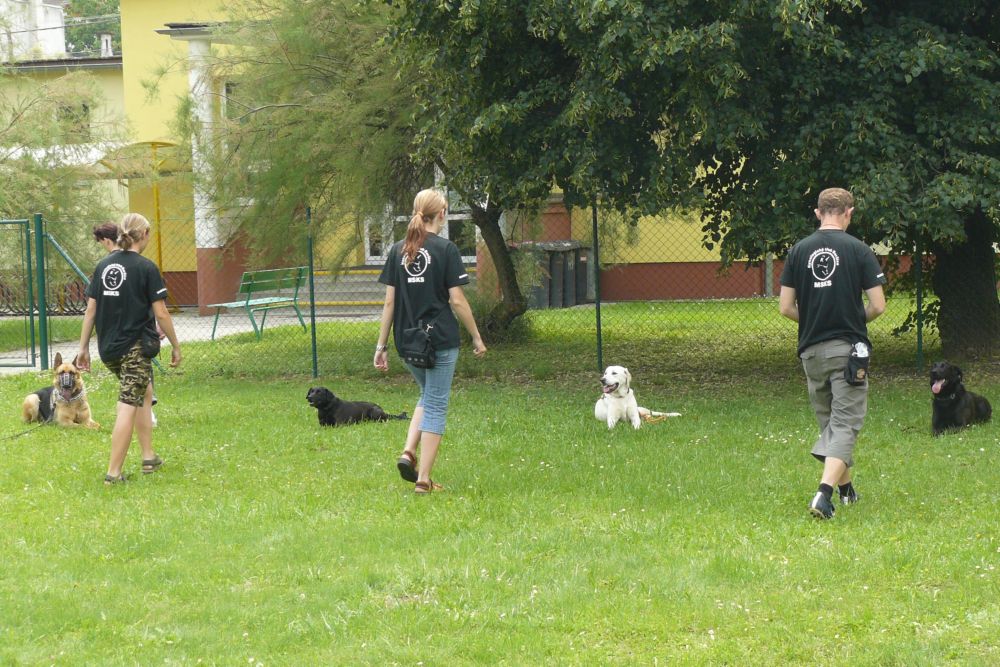P1060062.JPG
