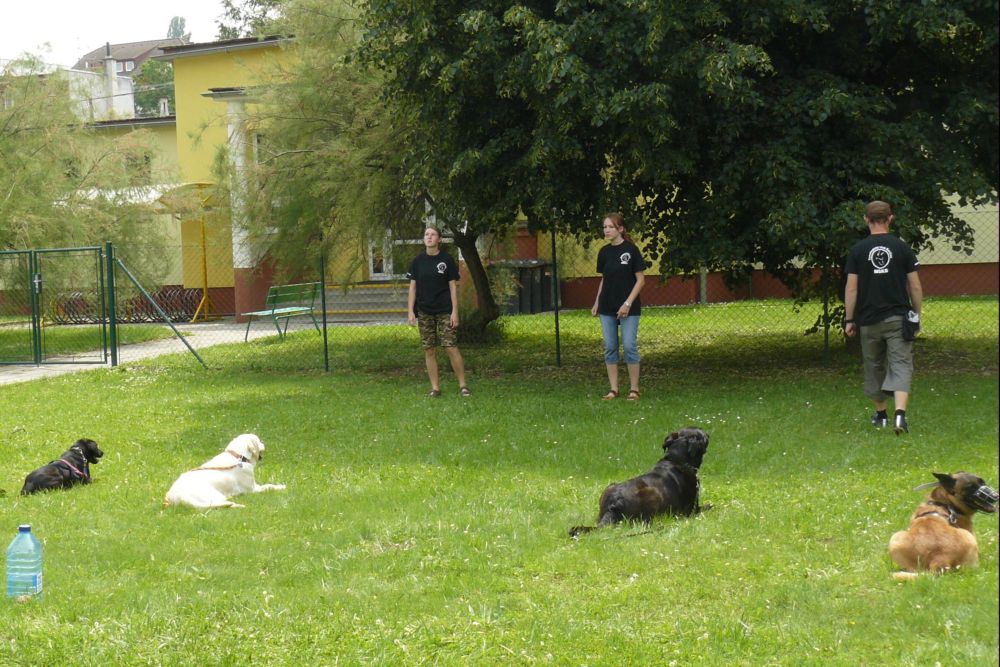P1060071.JPG