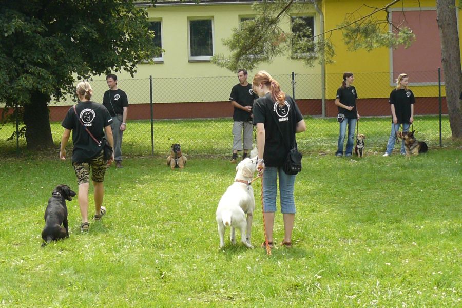 P1060086.JPG